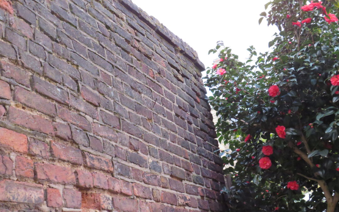 The Difference Between a Schedule of Condition and a Dilapidations Survey